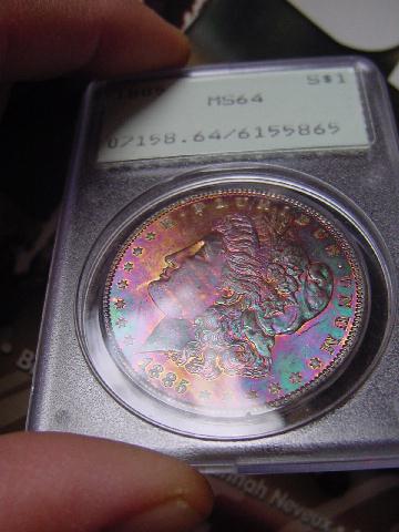 Morgan-Rainbows?