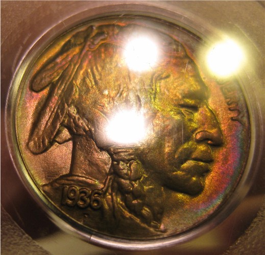 New-Piece-For-The-Type-Set.......colorful-Buffalo