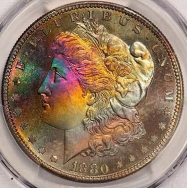 1880-S-Morgan-Dollar-For-Your-Grading-Pleasure