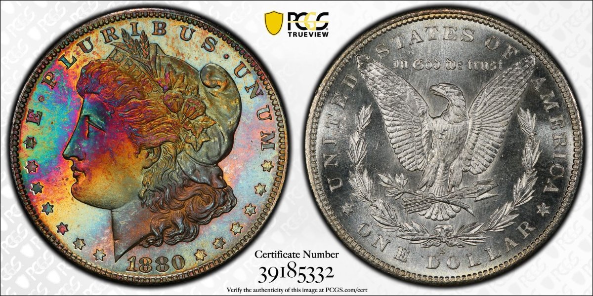 1880-S-Morgan-Dollar-For-Your-Grading-Pleasure