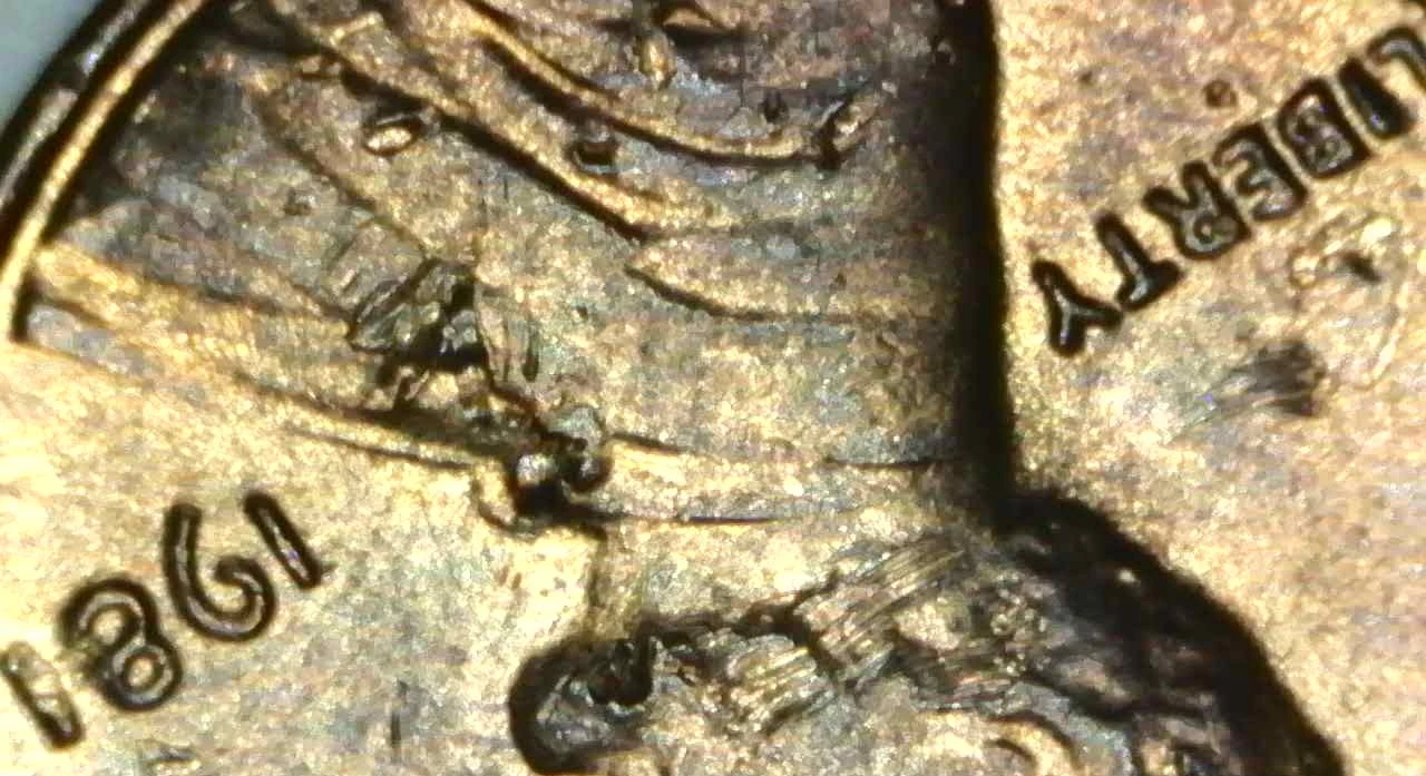 1981-Penny-The-One-In-Date-Seemswide?