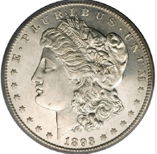 Fake-1893-CC-Morgans-On-Ebay