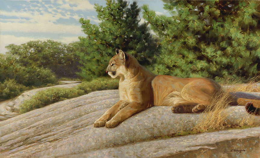 RCM-New-Releases:-$100-For-$100-2016-Fine-Silver-Coin---Cougar