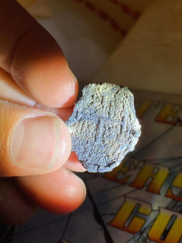 Coin-Found-On-Beach,-Counterfeit-Or-Real?