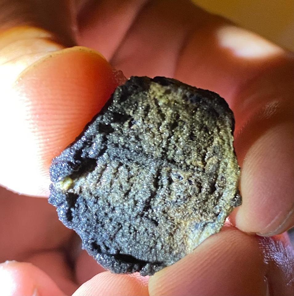 Coin-Found-On-Beach,-Counterfeit-Or-Real?