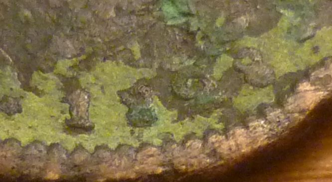 1828-Mexico-1/4-Real-In-Copper...???