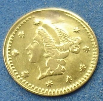 Learning-About-California-Gold-