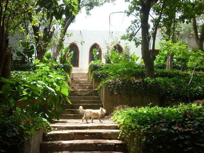 Found-In-Mexico:-Square,-1850,-Star,-Gopez-|-Hacienda-Token