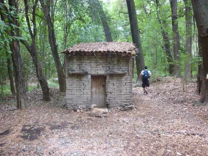 Found-In-Mexico:-Square,-1850,-Star,-Gopez-|-Hacienda-Token