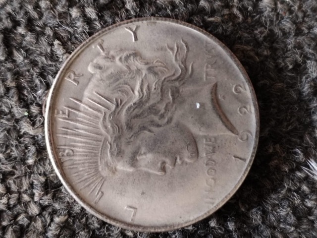 Silver-Dollars-Bought-On-Auction---Fake-Or-Real?