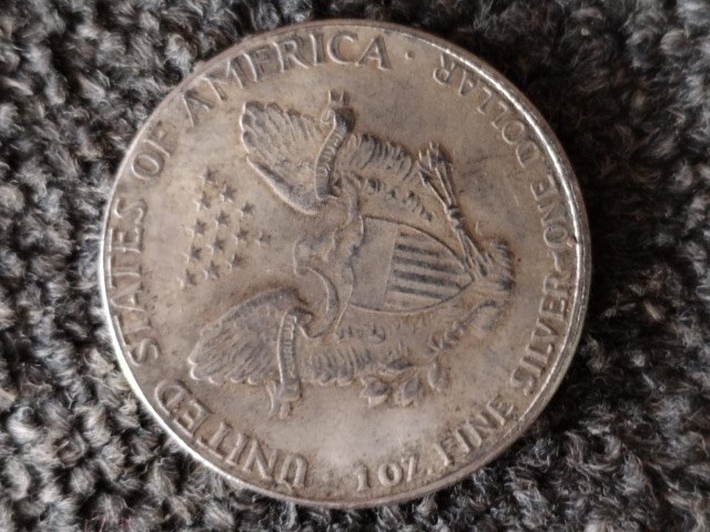 Silver-Dollars-Bought-On-Auction---Fake-Or-Real?