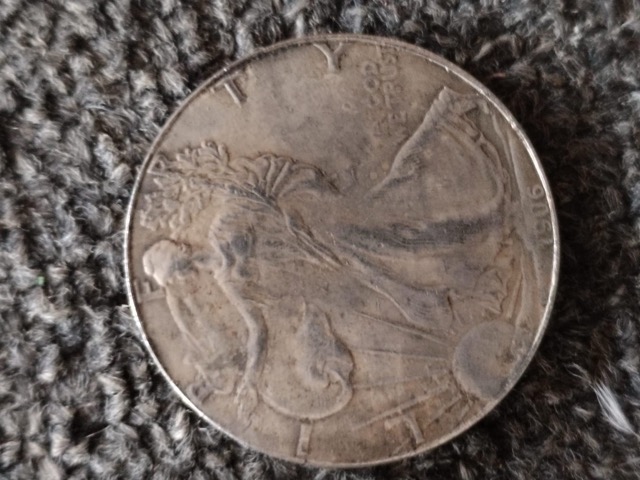 Silver-Dollars-Bought-On-Auction---Fake-Or-Real?