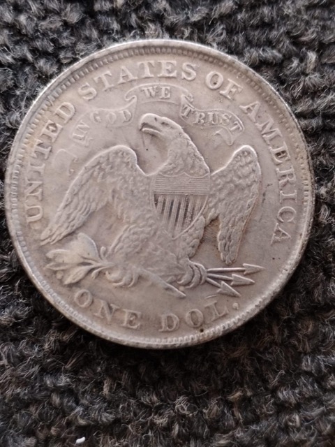 Silver-Dollars-Bought-On-Auction---Fake-Or-Real?