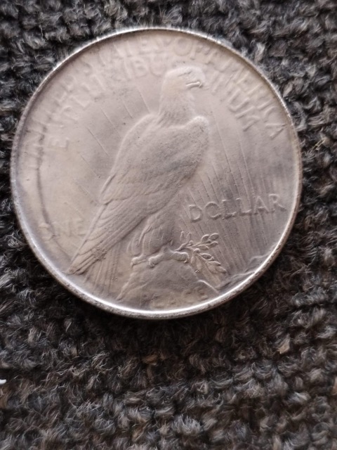 Silver-Dollars-Bought-On-Auction---Fake-Or-Real?