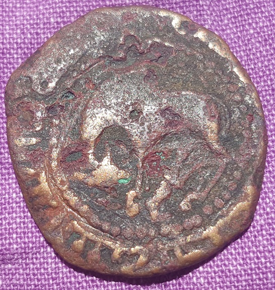 Unidendifed-Coin-With-A-Cow-Or-A-Horse