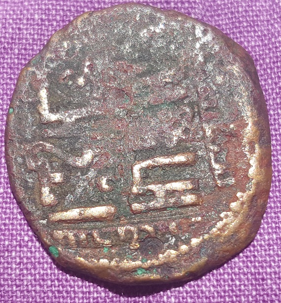 Unidendifed-Coin-With-A-Cow-Or-A-Horse