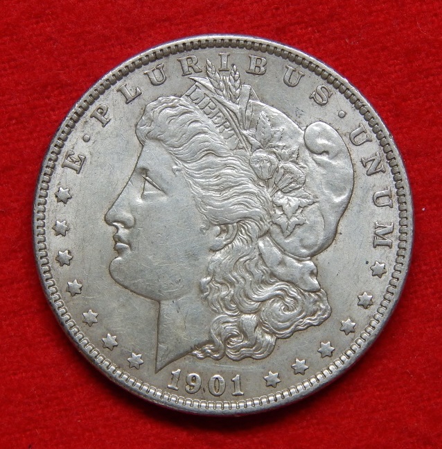 1901-P-Morgan--How-Does-This-Ding-Effect-The-Grade.-Thank-You.