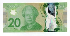 Show-Your-Polymer-Notes