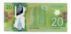 Show-Your-Polymer-Notes