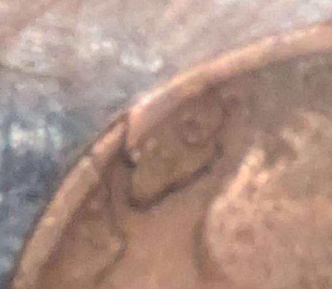 1919-S-Lincoln-Cent-Is-This-A-Cud-Error?