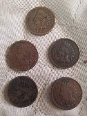 Help;-Walking-Liberty,-Indian-Heads,-And-Buffalo-Nickel