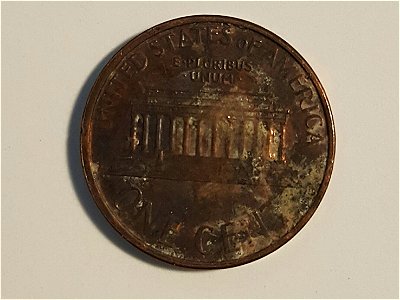 What-Do-You-All-Think-About-This-199_-Memorial.
