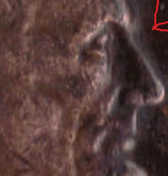 1974-A-Doubled-Eyelid-Or-Damaged