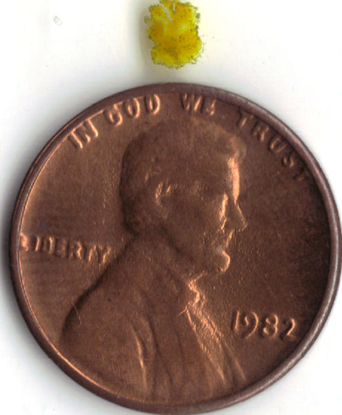1982-Ugly-Penny