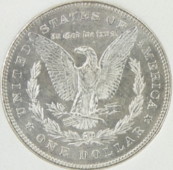 New-Purchase-1878-Morgan