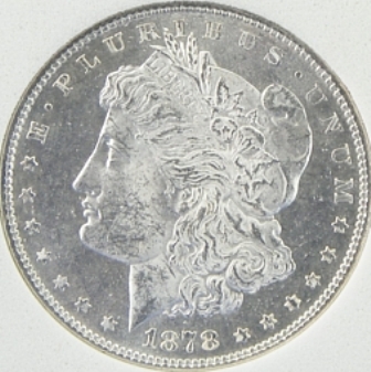 New-Purchase-1878-Morgan