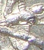 1878-S-Morgans-Silver-Dollar-Questions?