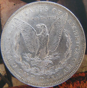 Which-VAM-1878-Morgan