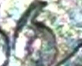 1966-P-Dime-Error-Possible-Doubled-Die