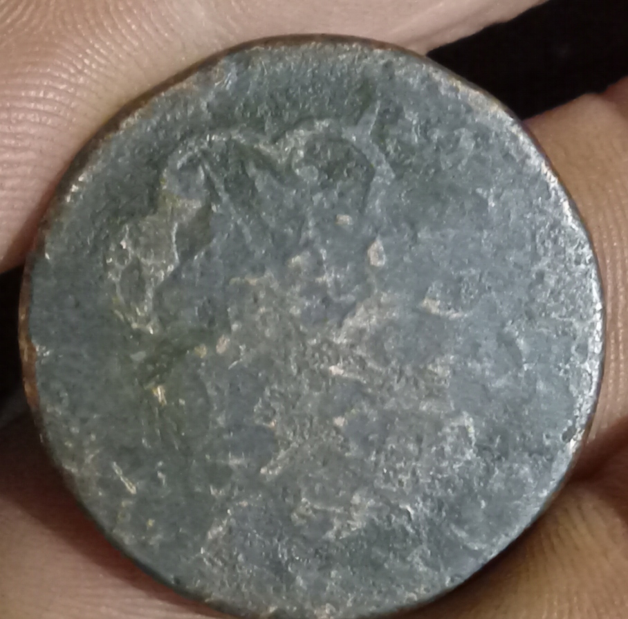 Can-Anyone-Tell-Me-What-This-Is-Please?