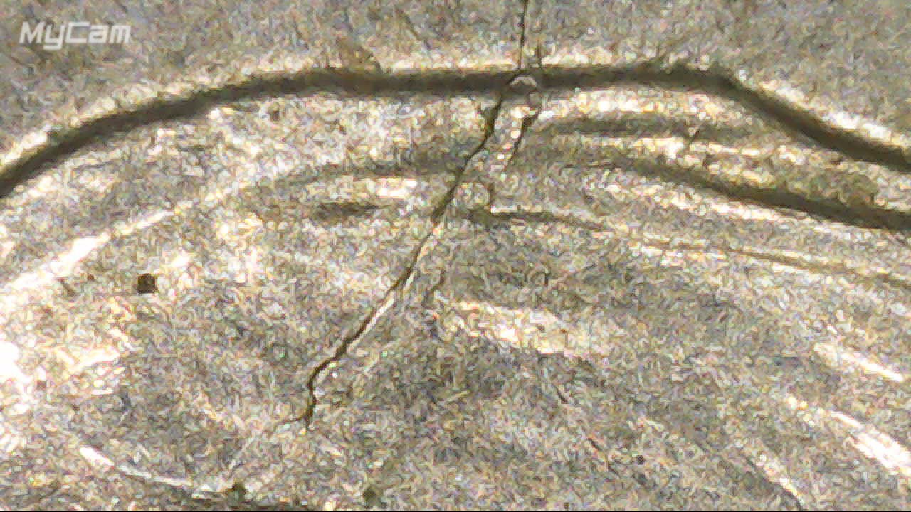 2006-P-Roosevelt-Spike-Head-Cracked-Die.