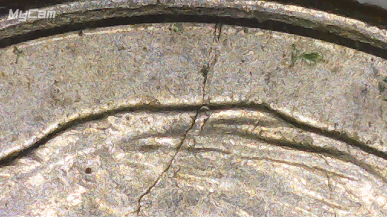 2006-P-Roosevelt-Spike-Head-Cracked-Die.