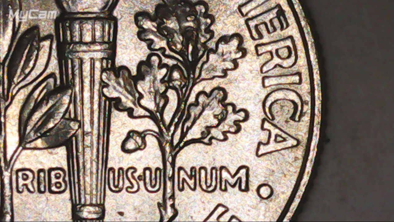 2016-P-Dime-Cracked-Die-Or-Do-I-Need-A-Tree-Surgeon-?