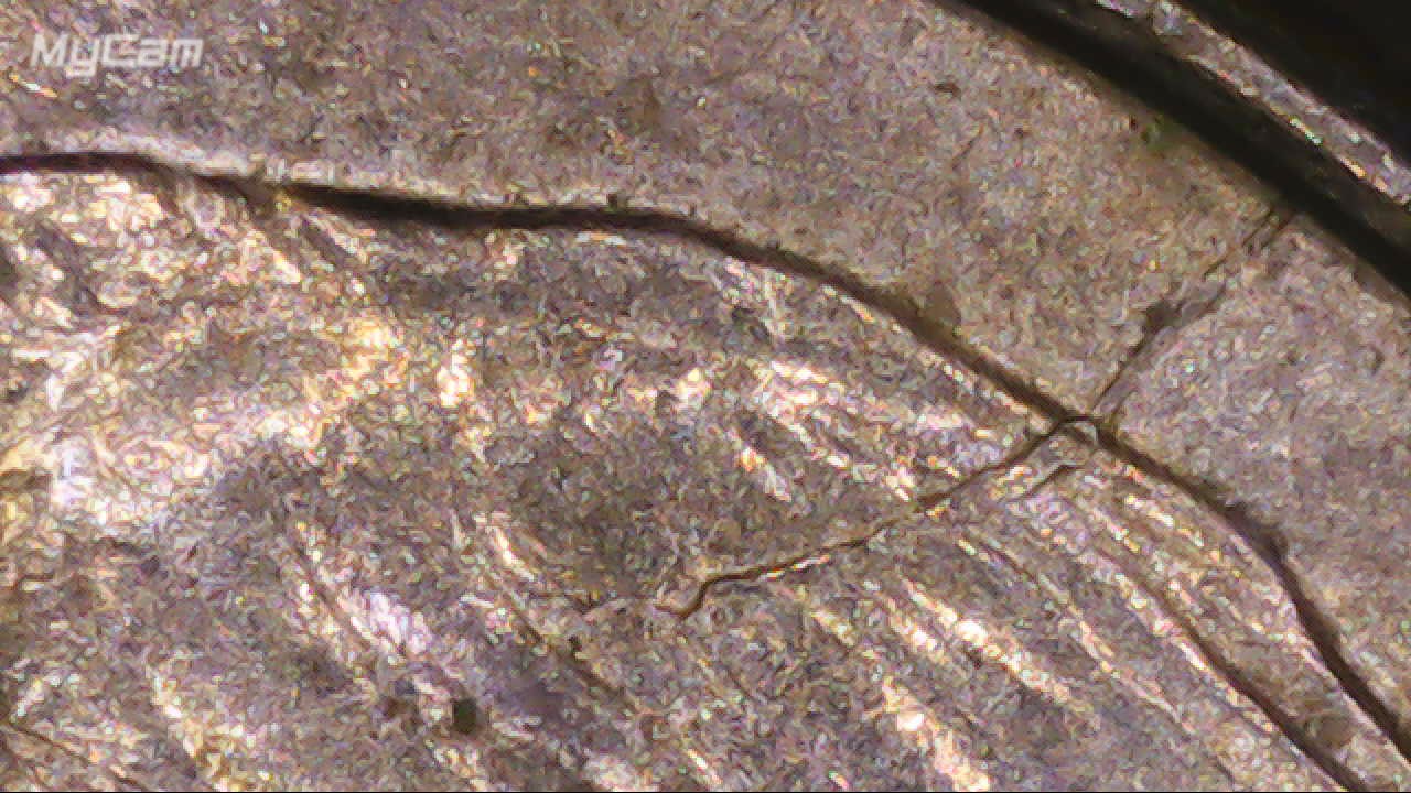 2006-P-Dime-My-Latest-Head-Spike.