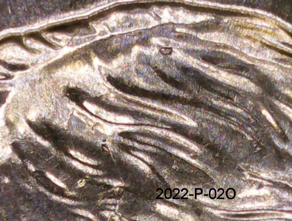 2022-P-Dimes.-Just-Found-9-More-Dimes-That-Appear-To-Match-From-The-Same-Roll