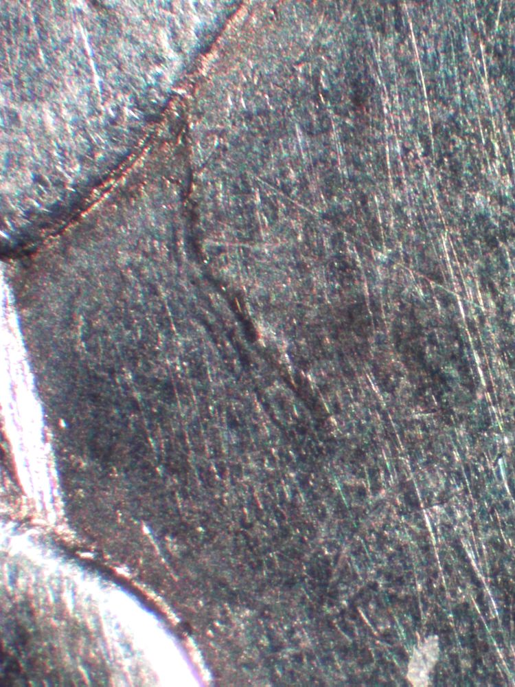 1855/54-Seated-Liberty-Half-Dollar-Grade?