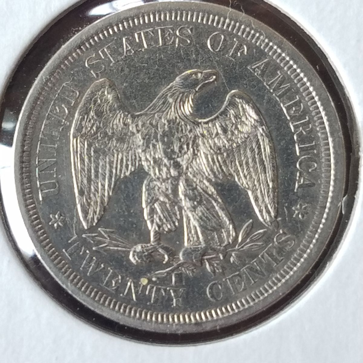 Post-Pictures-Of-Your-Seated-Coins!-It's-Show-Off-Time!