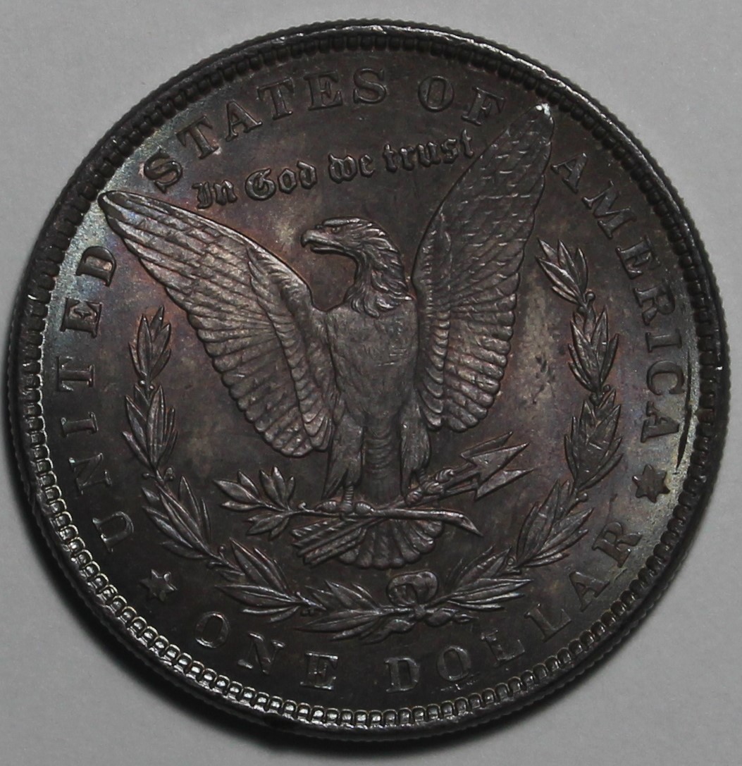 1884-Morgan-Dollar-For-Grade-And-Opinions