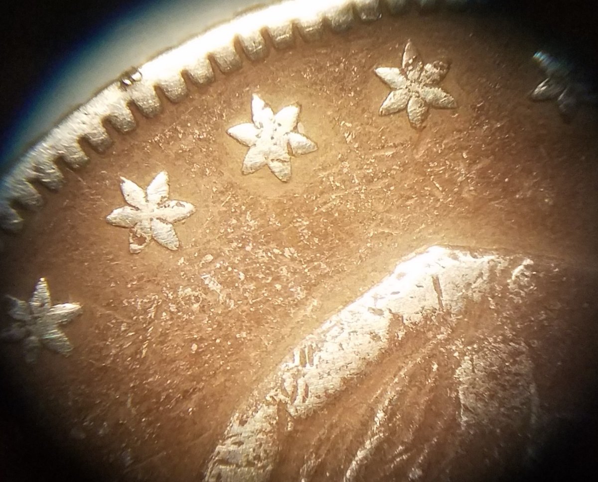 1855-S-Half-Dollar-Grade-&-Opinions.