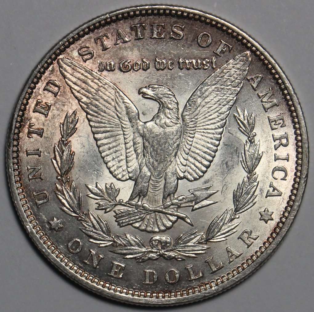 1884-Morgan,-What-Would-You-Grade-It?