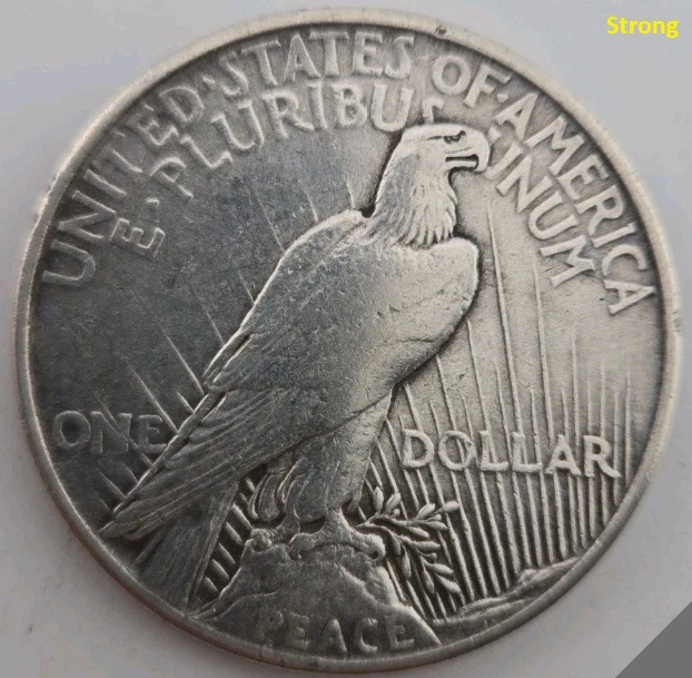 Fish-Gills-On-Liberty's-Neck,-Possible-Unlisted-1921-Peace-Dollar-VAM?