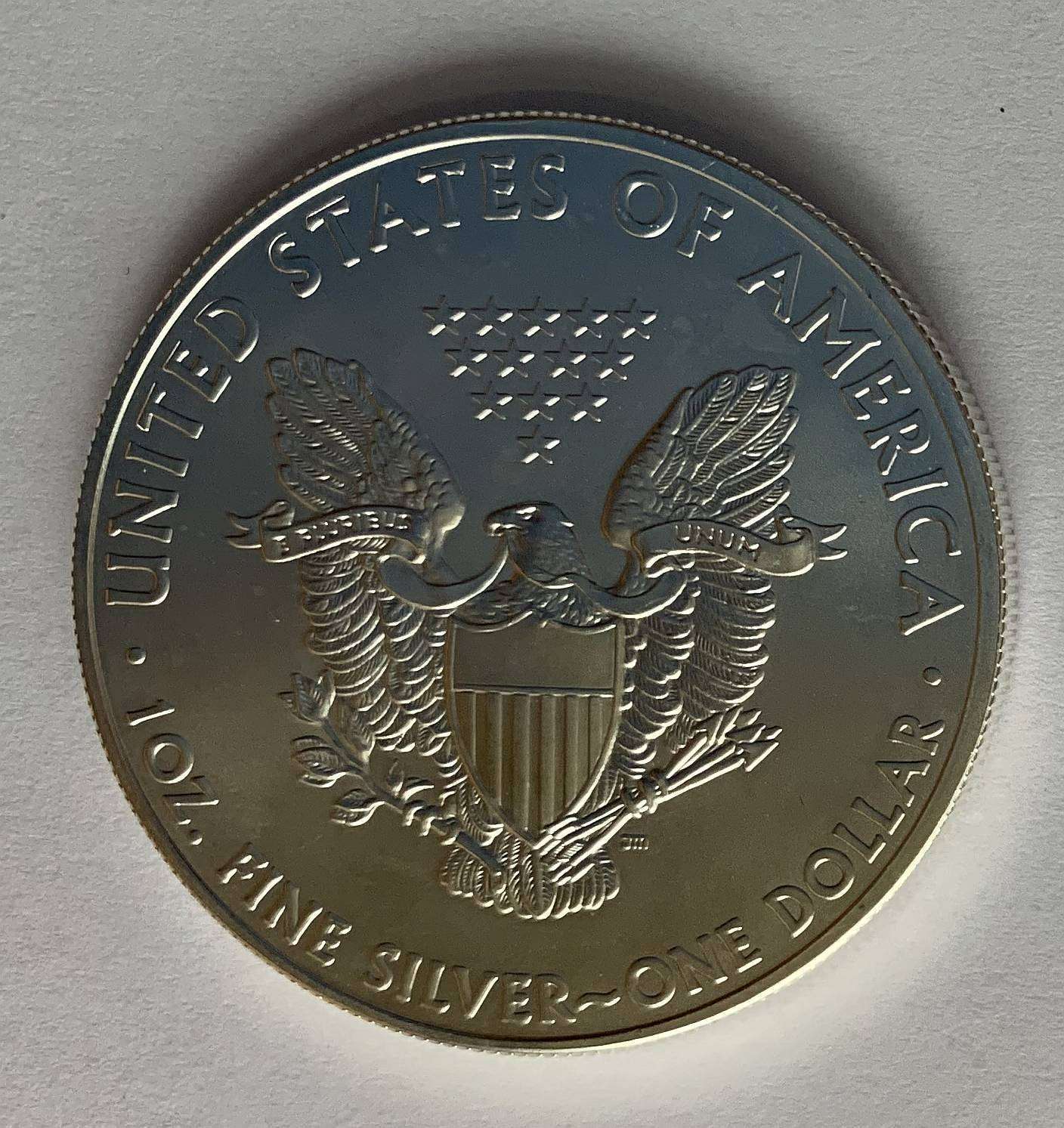 Please-Rate-My-Silver-Eagle