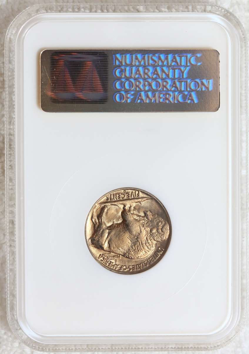 Hfjacinto's-Slabbed-Dansco-7070-With-Gold-Page