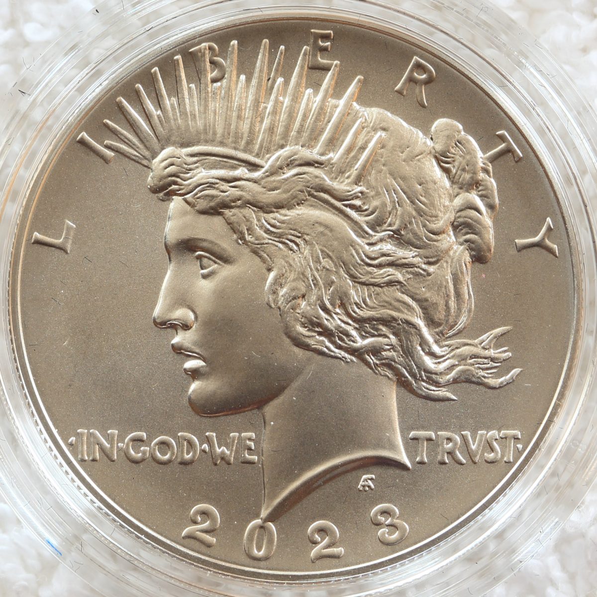 Image-Gallery-Of-2023-Morgan-And-Peace,-The-Full-Set.