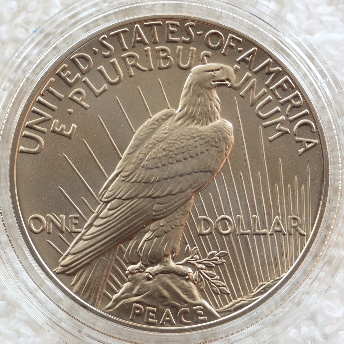 Image-Gallery-Of-2023-Morgan-And-Peace,-The-Full-Set.