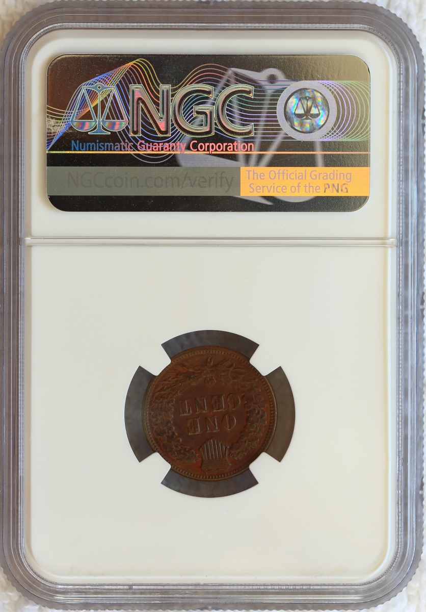 Flying-Eagle-And-Indian-Head-Cents-And-A-Future-Long-Term-Project